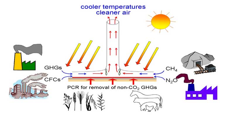 SCPP-PCR figure 800