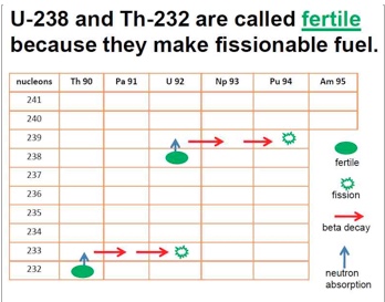 Fertile compounds